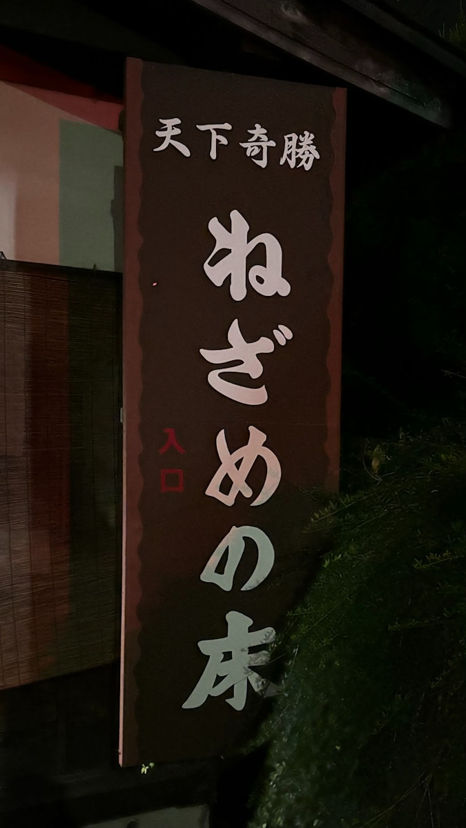 A sign with asian writing on it hanging from the side of a building