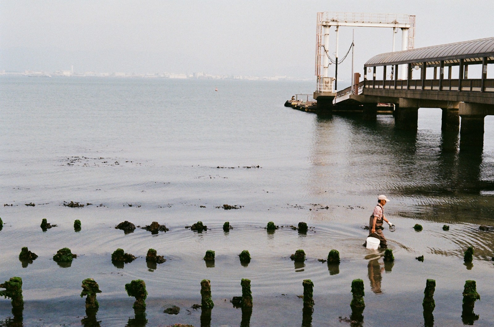 person walking on shore