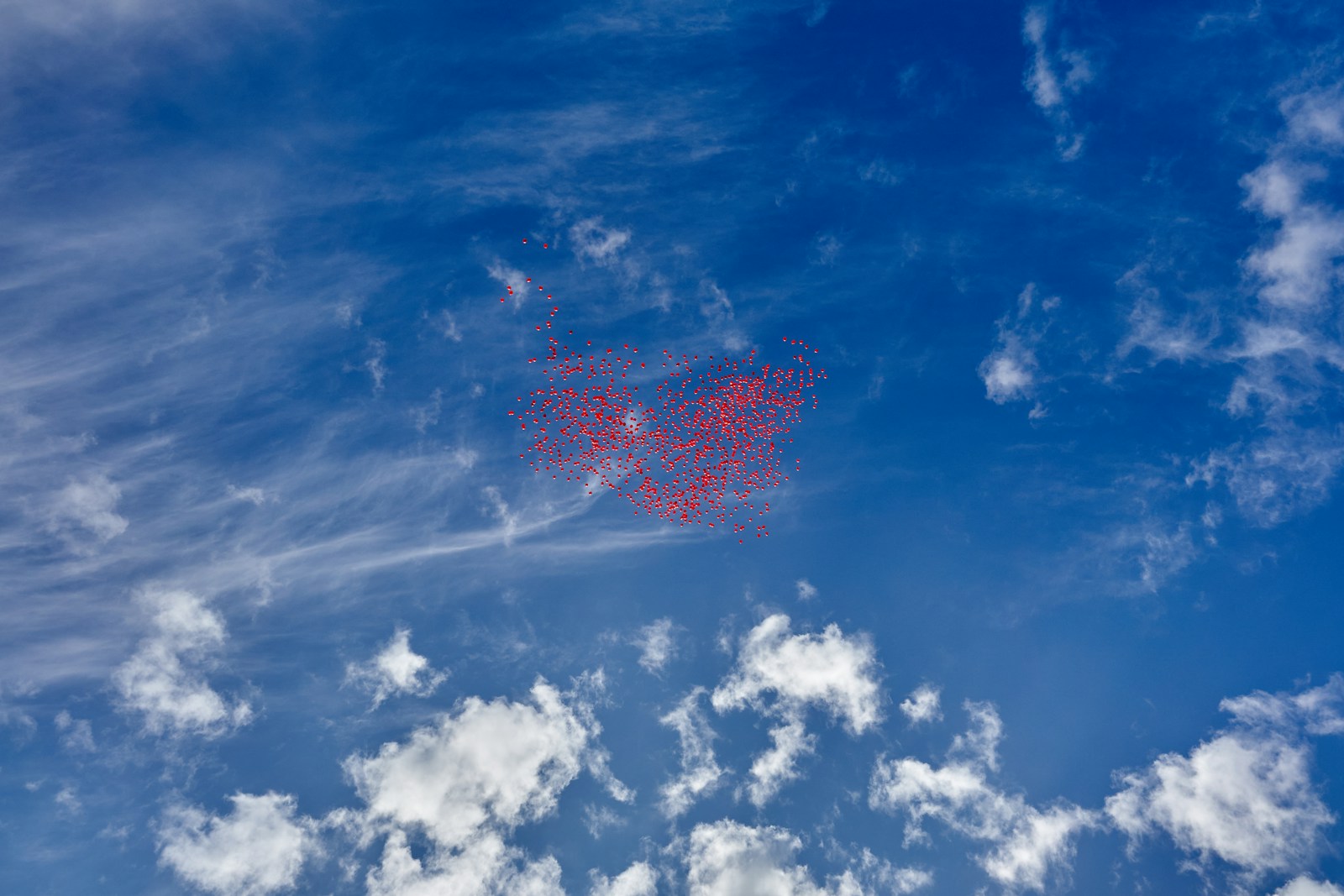 A blue sky with white clouds and a red kite flying in the air